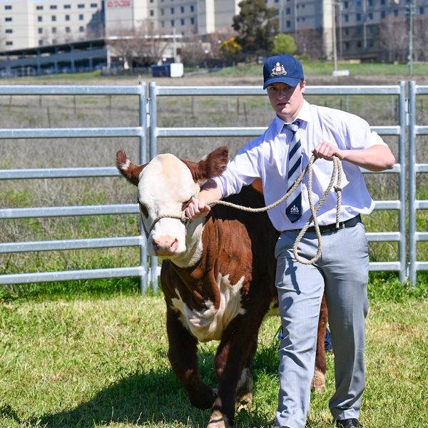 Ag Team | St Stanislaus' College, Bathurst NSW