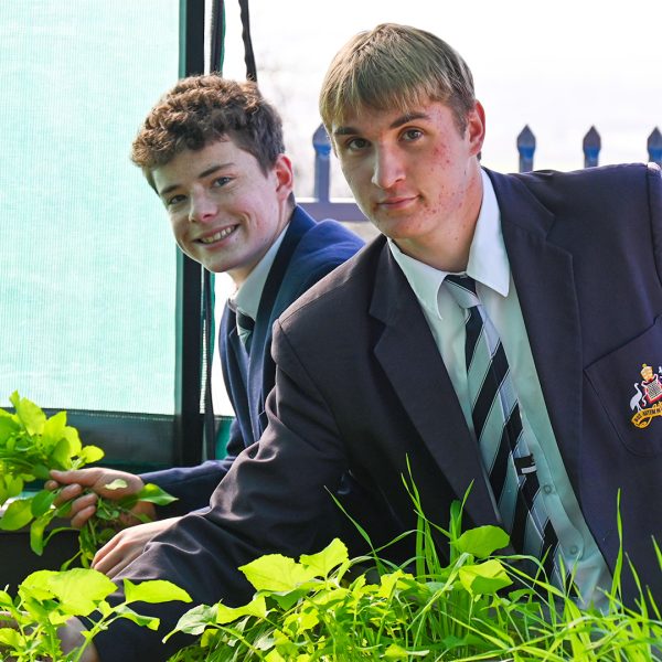 Newsletter | St Stanislaus' College, Bathurst NSW