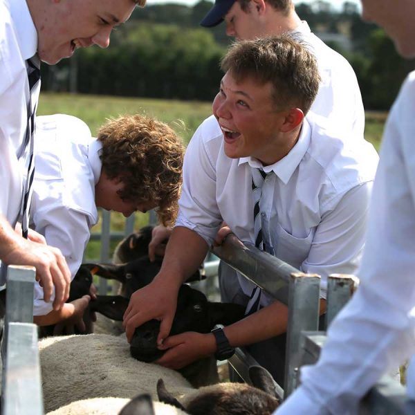 Agricultural Studies | St Stanislaus' Secondary College, Bathurst NSW