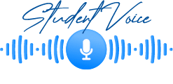 Voice message, audio chat interface and record play bubble, vector messenger playback. Voice message microphone icon with sound wave or record soundwave of mobile phone messenger button